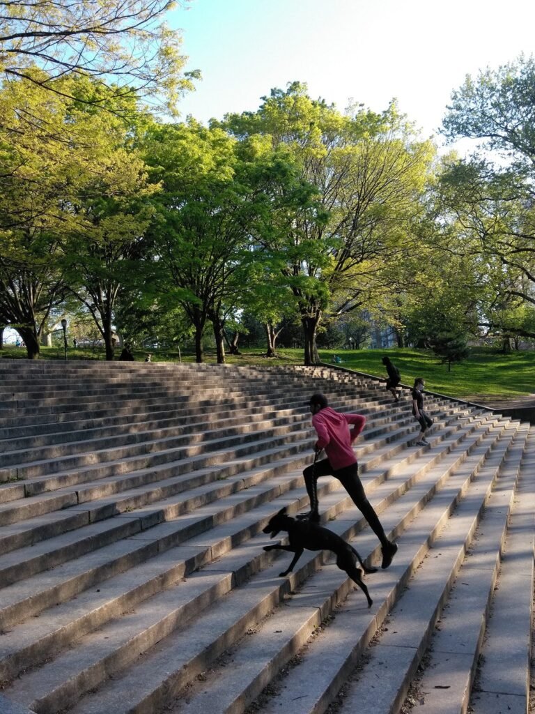 Seorang pelari di jalur taman kota