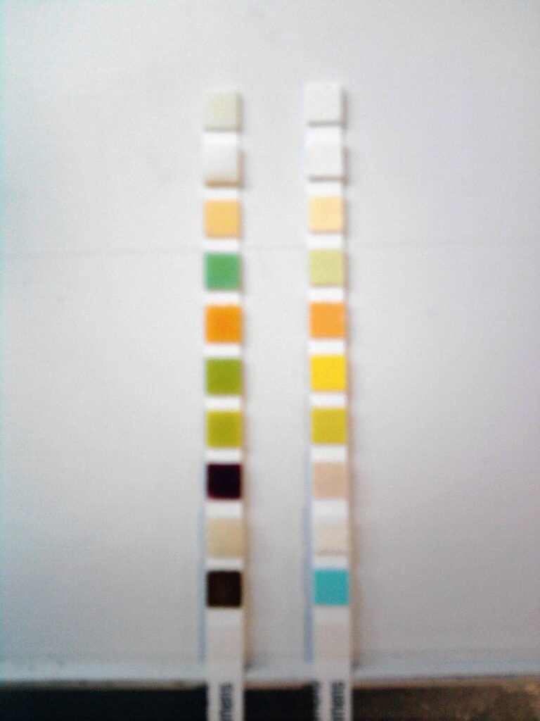 Dua strip celup urine: strip kiri berubah warna karena ada protein dan zat lain, strip kanan tanpa reaksi